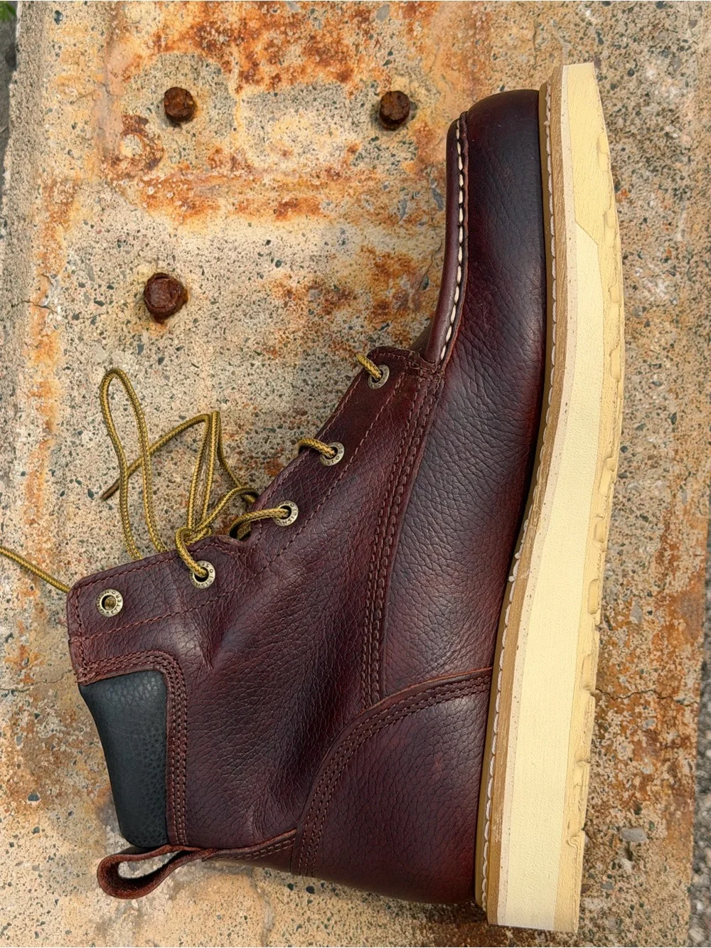 Irish Setter step into